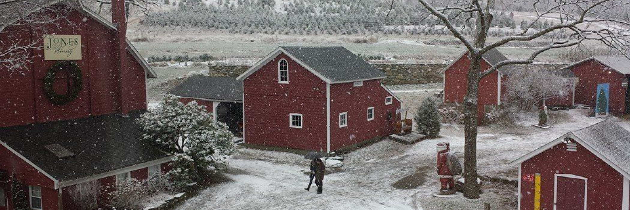 jones-family-farms-plan-your-visit-at-christmas