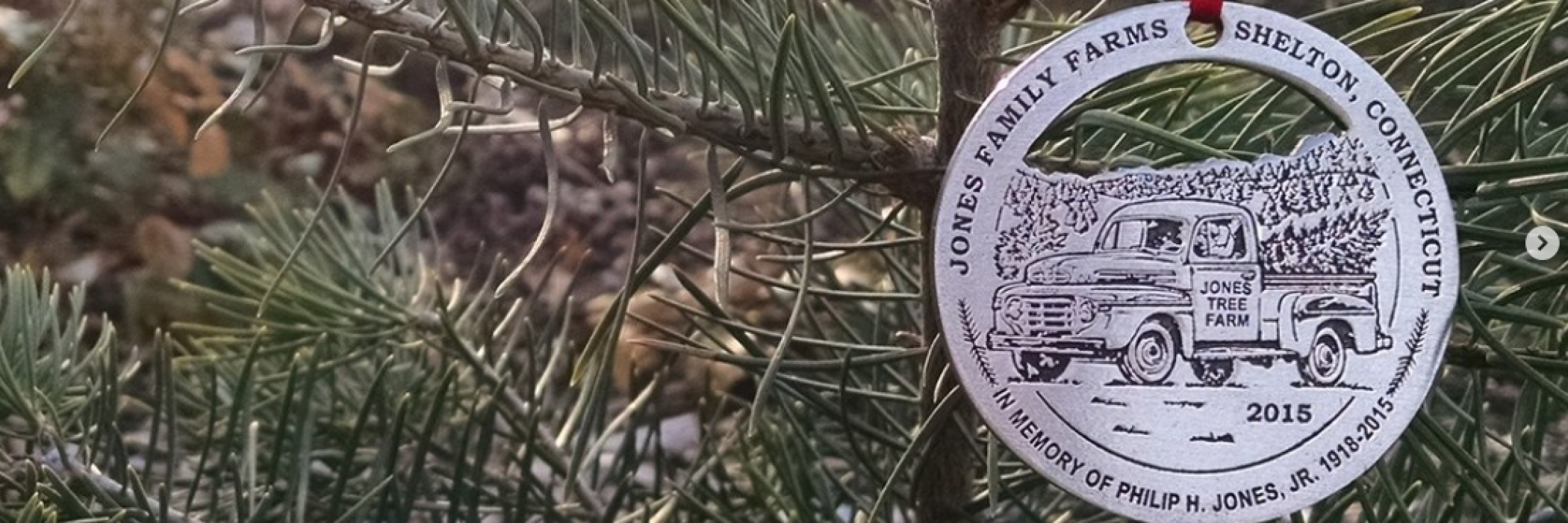 2015 ornament hanging on a Christmas tree