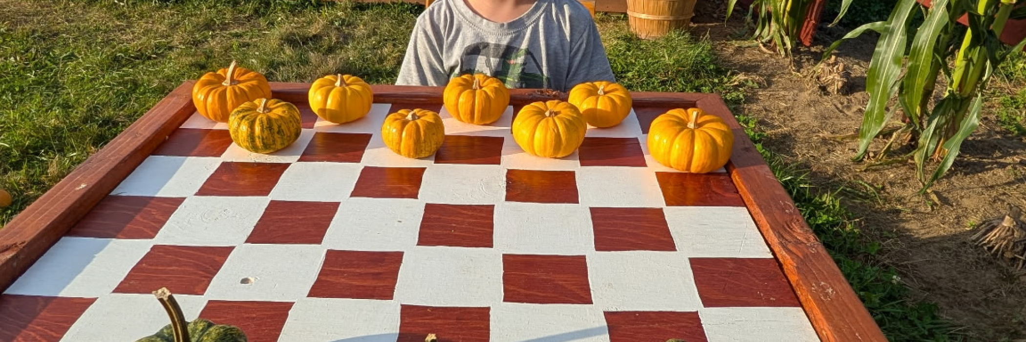 Checkers with Pumpkins