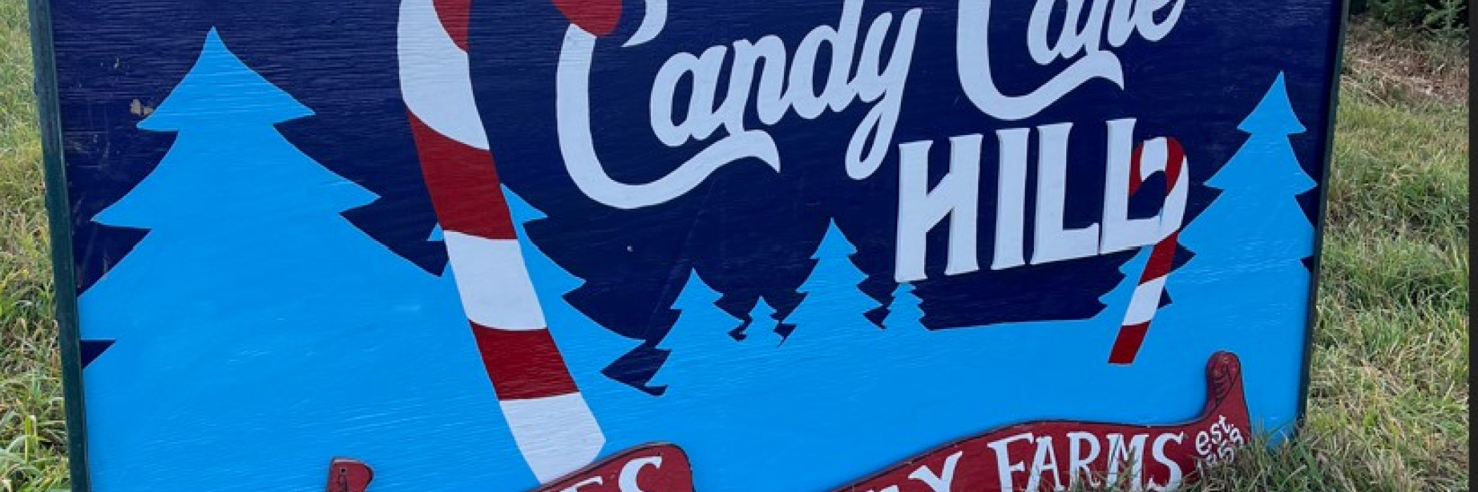 Candy Cane Hill