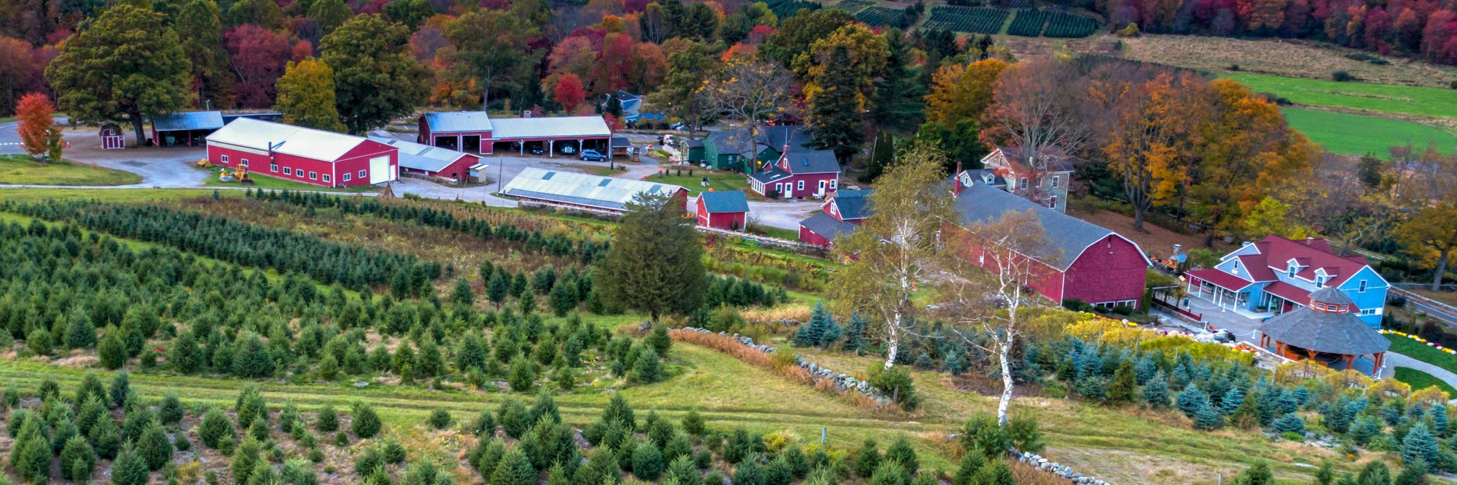 Jones Family Farm from the air