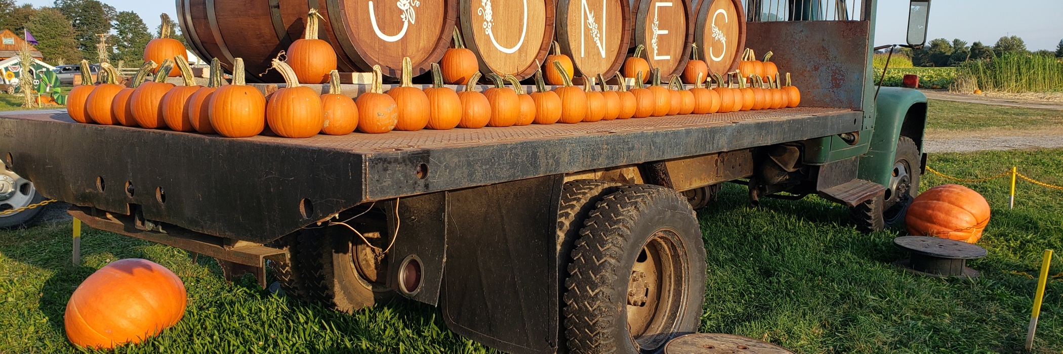 Kegs spell J-O-N-E-S on back of truck with pumpkins