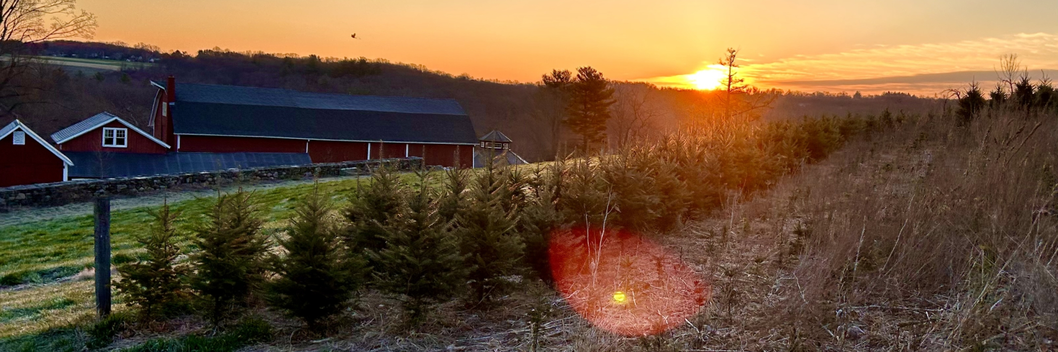 Sunrise at the Farm