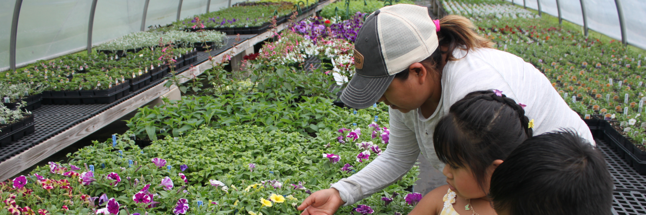 Family browsing flowers in our greenhouses 