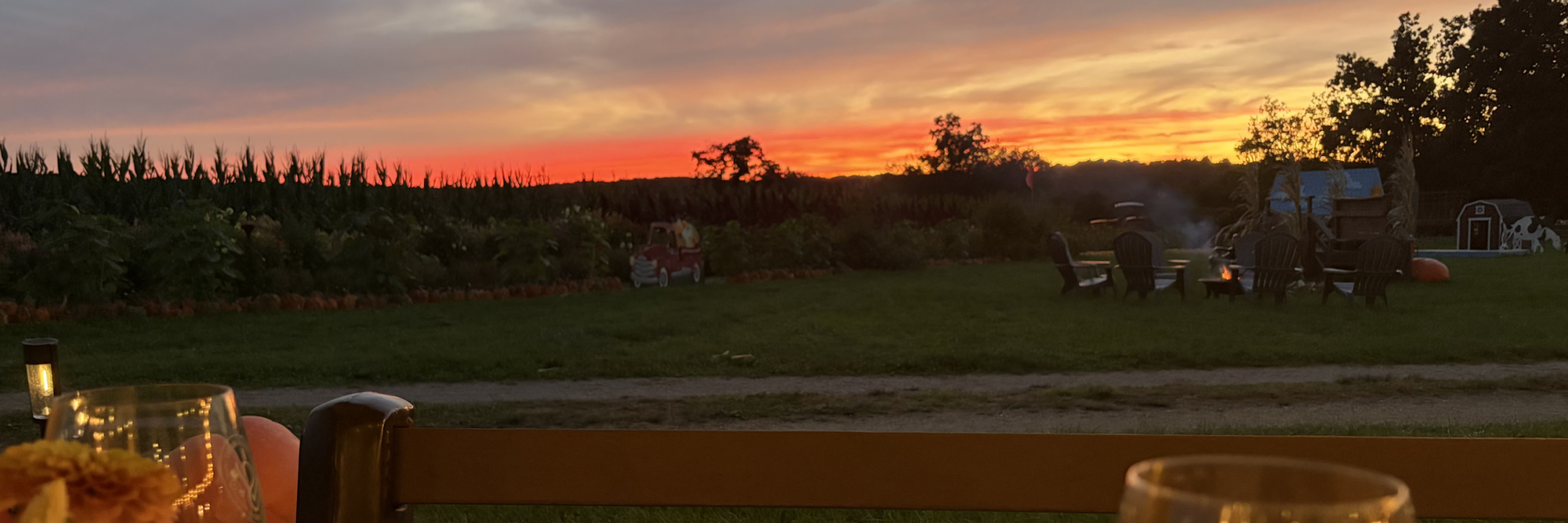 Enjoying wine at Pumpkinseed Hill