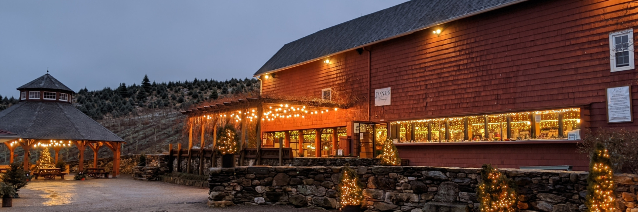 Holiday Gathering Gift Shop in Twilight 