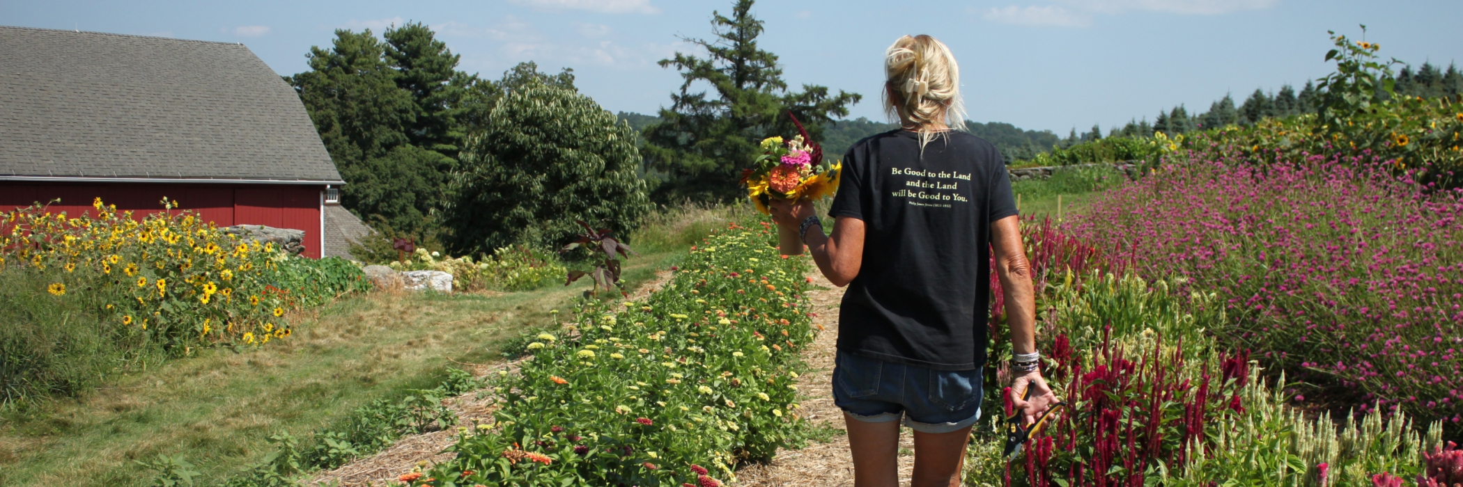 Picking flowers in the field.