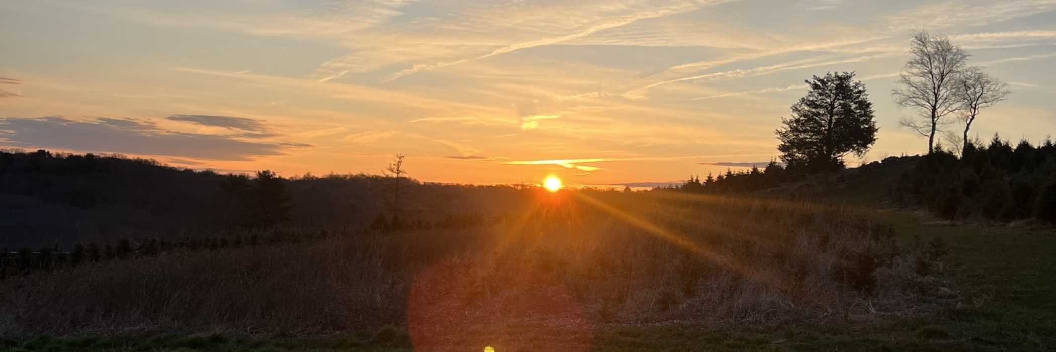 Sunrise on the farm 