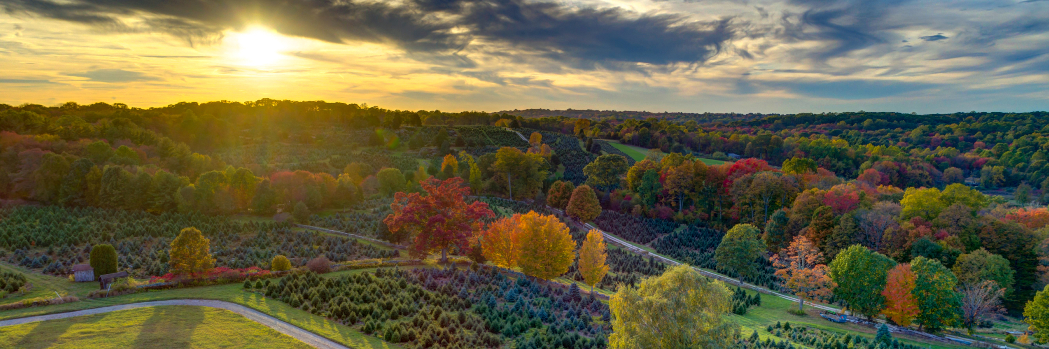Sunset over Jones as seen from the sky