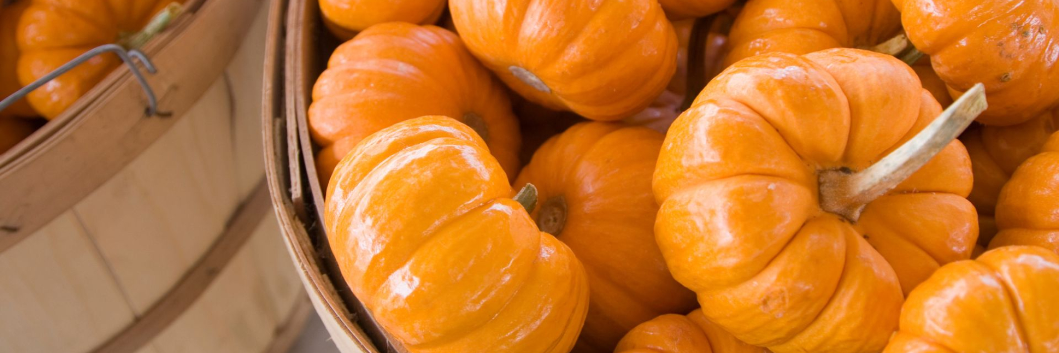 a bowl of Jack-Be-Little Pumpkin Pies on the table