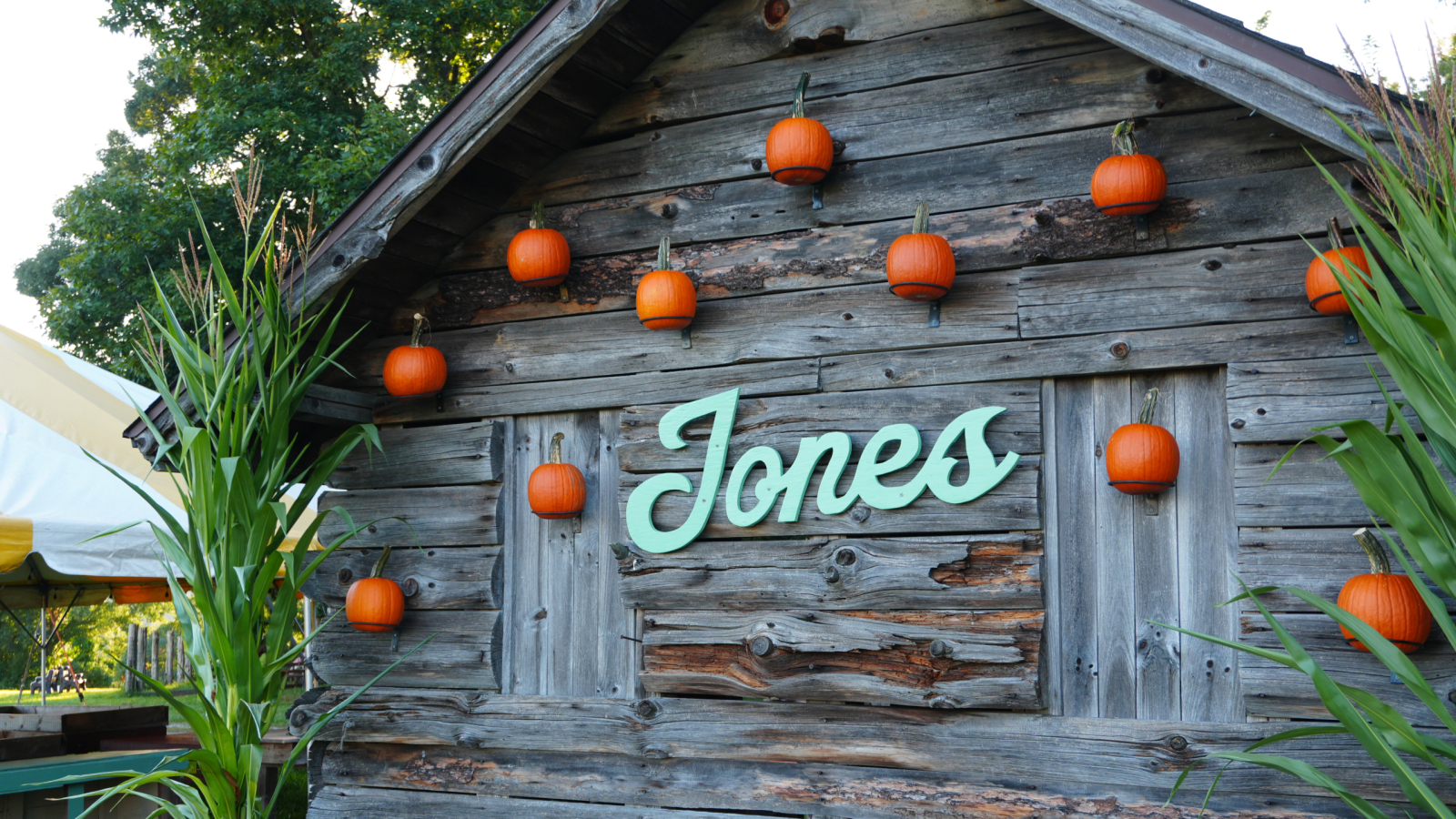 Pumpkin Photo Op 