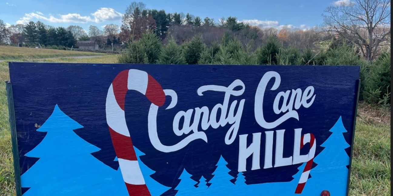 Candy Cane Hill Sign on the hill
