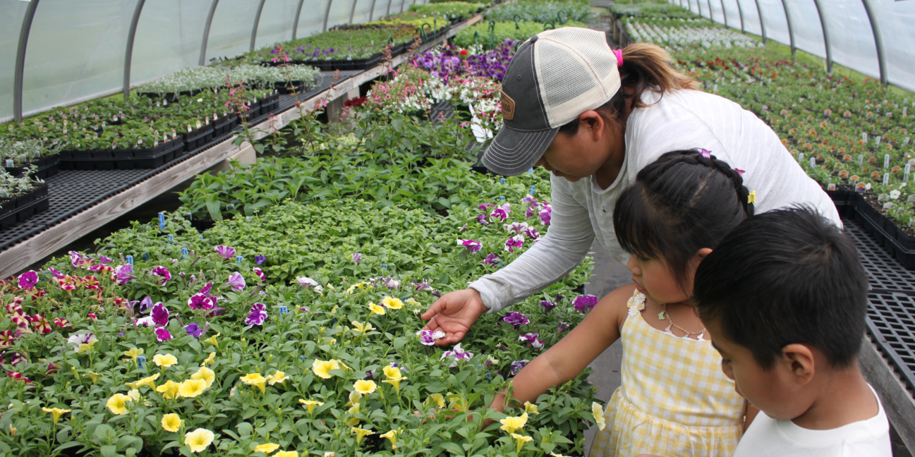 Family browsing flowers in our greenhouses 