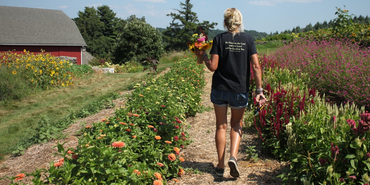 Picking flowers in the field.