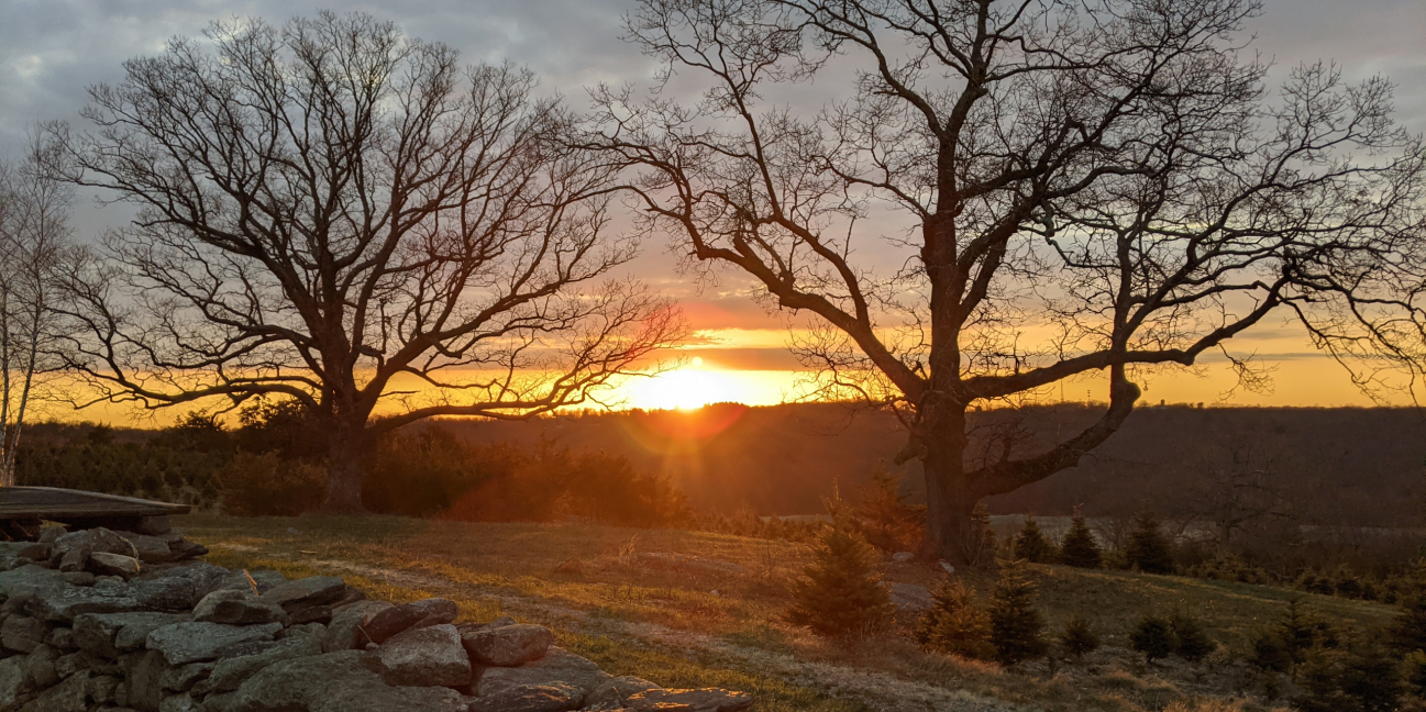 Easter Sunrise at the Farm