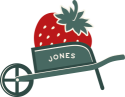 Strawberry in a Cart