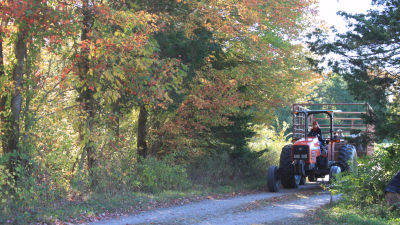 school tour hayride