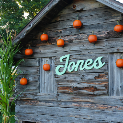 Pumpkin Wall Photo Op 