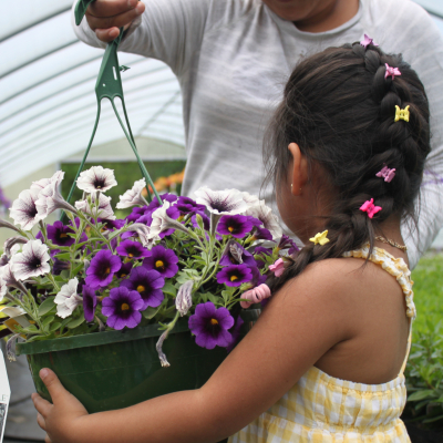 Young girl holding flowering hanging basket for mother 