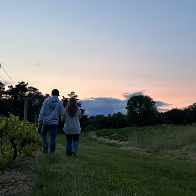 walking through the strawberries