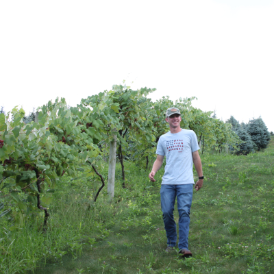 Walking in Educational Vineyard